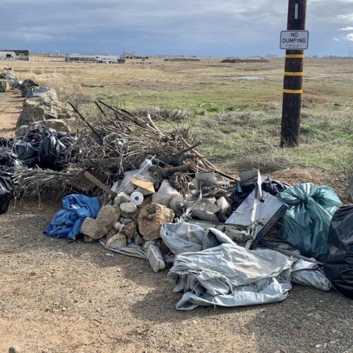 Sacramento Picks It Up Hosts Mather Vernal Pools Trash Dash!