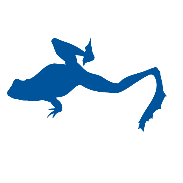Frog silhouette